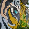 Eye Of The Tiger Mdf Wall Art Side View